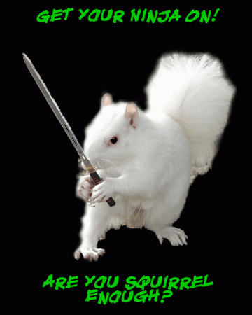 white_ninja_squirrel_resized.gif
